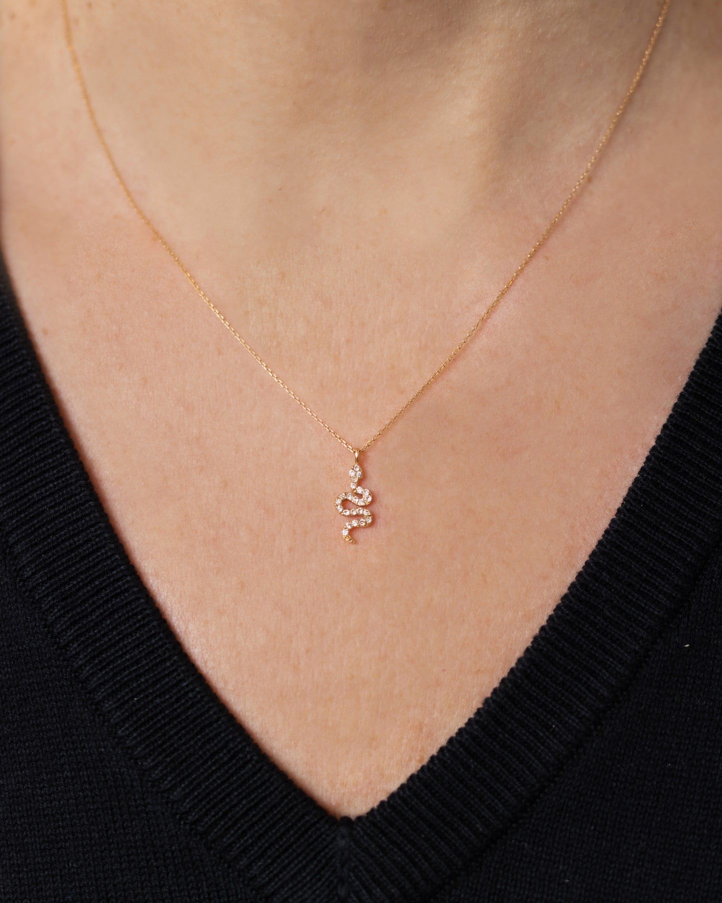 Necklace, Snake